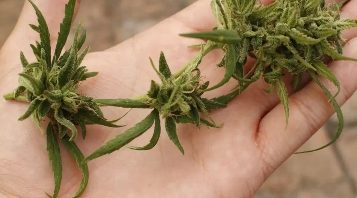 usar drogas durante las relaciones sexuales se llama ChemSex