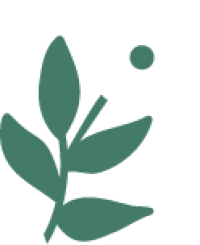 flor